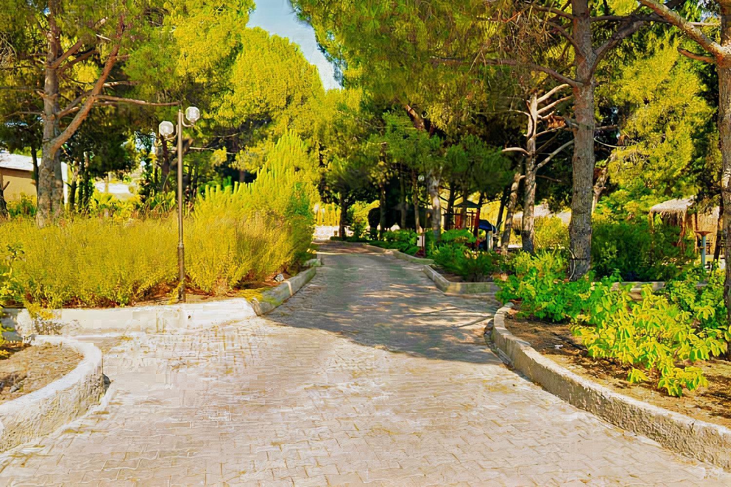 Elitium Thermal Hotel Bozkoy  Εξωτερικό φωτογραφία